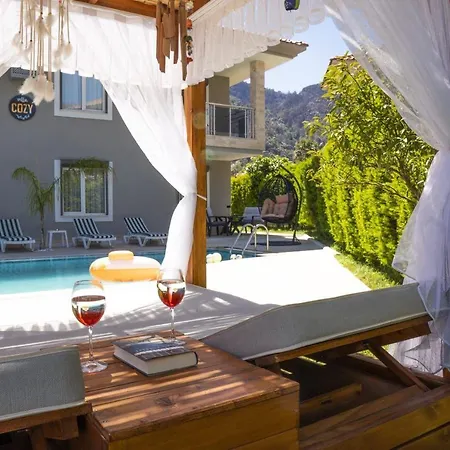 Cozy Villa