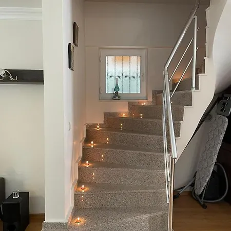 Cozy *