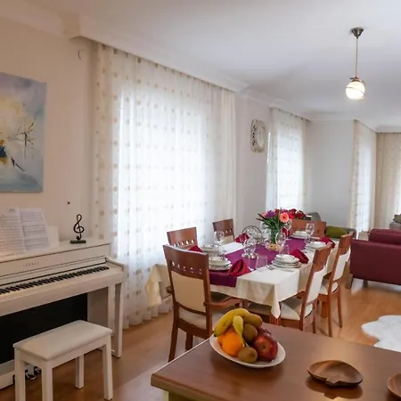 Cozy Villa